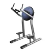 Life Fitness Signature Series Leg Raise (SLR)