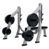 Life Fitness Olympic Bench Weight Storage (LBR-OW)