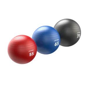 Stability-Ball-Group-Shot_1000-x-1000 Life Fitness Stability Balls (LF-SB)